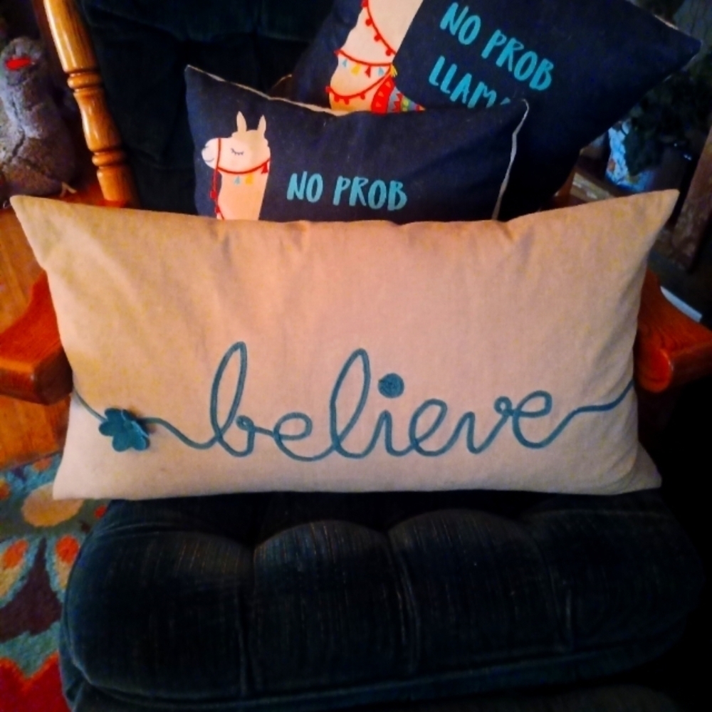 Devi Designs Believe Goose Down Accent Pillow